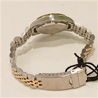 Orologio Lowell Donna Class bicolor green in Acciaio PL4700-24R - PL4700-24R